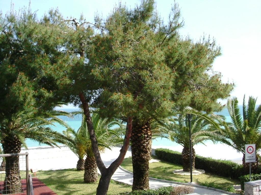 Taormina Beach House Mazzeo Rom bilde